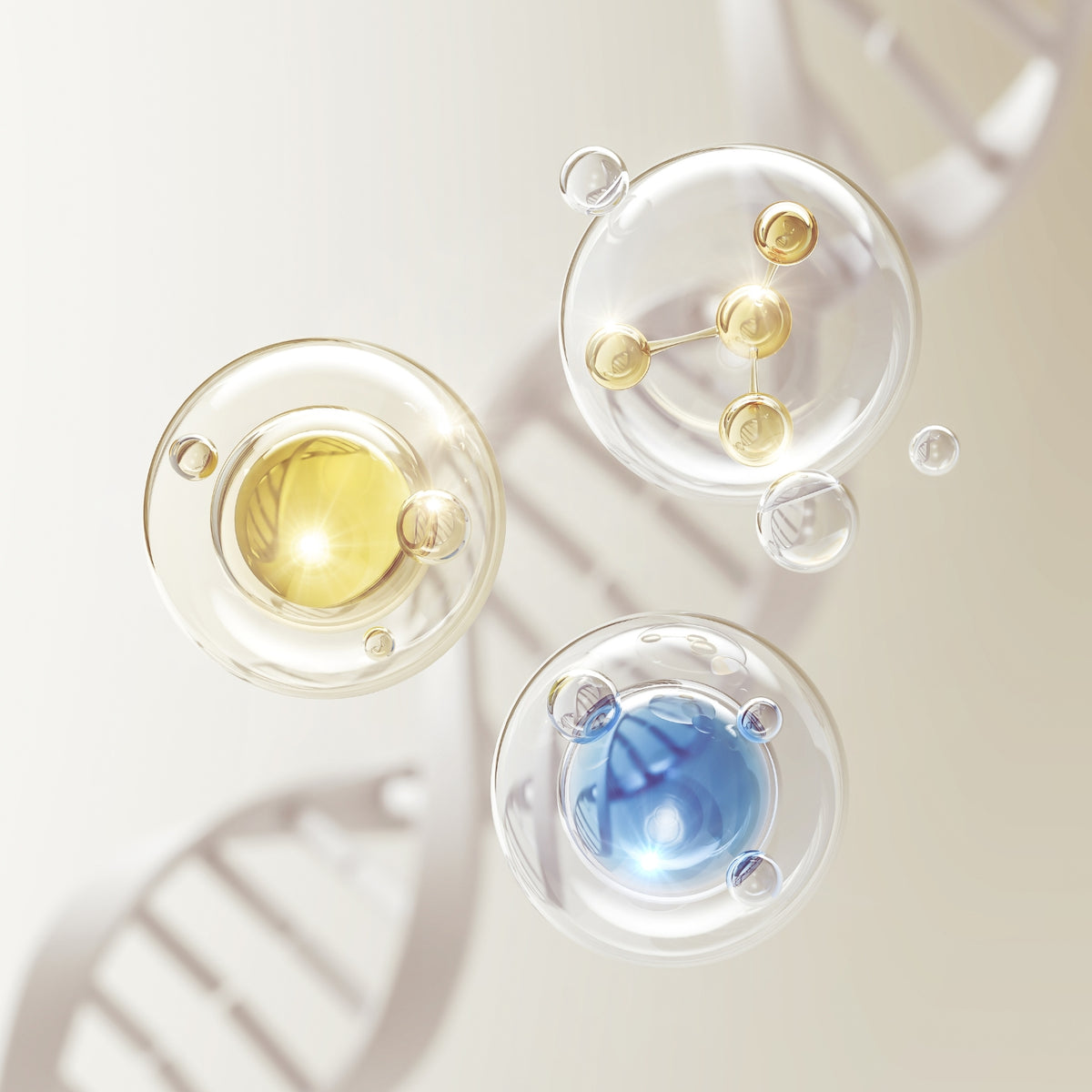 Marine Collagen for Deep Cellular Renewal